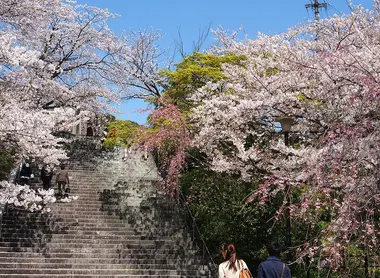 Nishi koen park steps, near Terumo jinja shrine, Fukuok