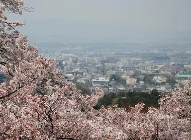 Vue depuis le mont Wakakusa, à l'extrémité Nord du Parc de Nara