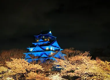 Admire the "yozakura", night cherry trees, at Osaka Castle Park