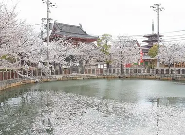 The garden of Shitennoji