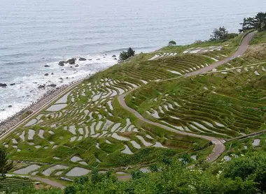 The terraced rice fields of Senmaida