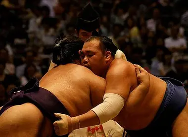 Compétition de sumo au gymnase de la ville de Nagoya