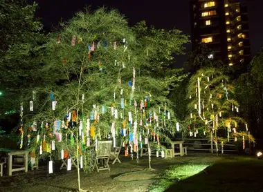 Bambús durante la fiesta de las estrellas (tanabata) en el jardín Shukkei-en de Hiroshima.