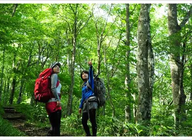 Randonnées et promenades sont au rendez-vous à hiroshima kenmin no mori