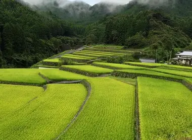 Toho Village 