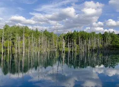 blue-pond