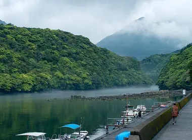 Après midi brumeuse à Yakushima
