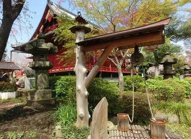puits-shushiki-sakura
