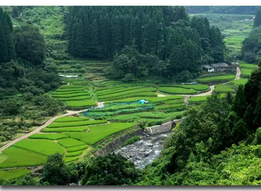 matsutani-riziere