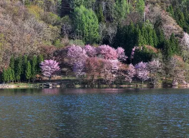 Le lac Nakatsuna au printemps