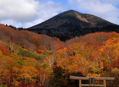 Le kôyô à Aomori