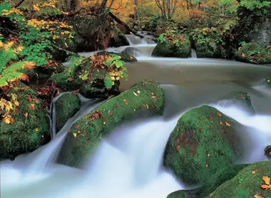 La rivière dans la forêt d'Oirase Keikryu