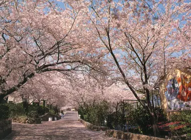 oji zoo