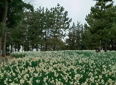Parc Kasai Rinkai