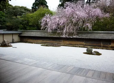 Zen garden
