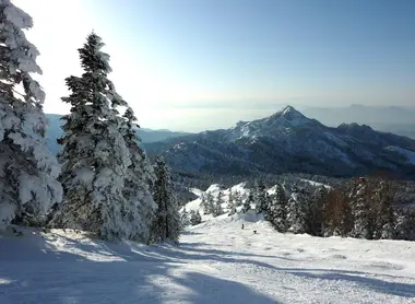 nagano
