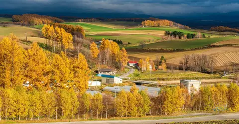 furano