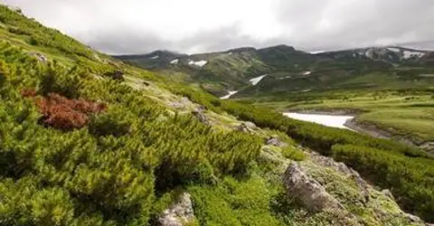 Mont-Kuro-Daisetsuzan