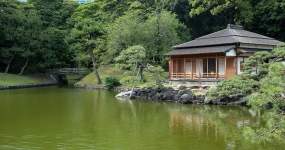 gazebo in the middle of a pond surrounded by trees