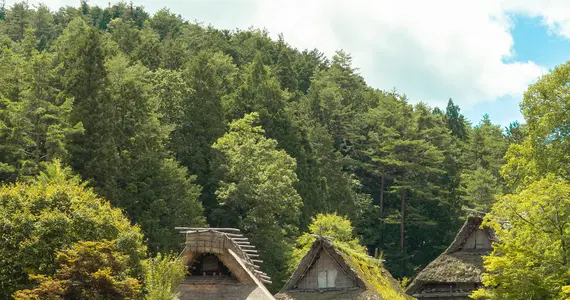Group of houses on the edge of a lake