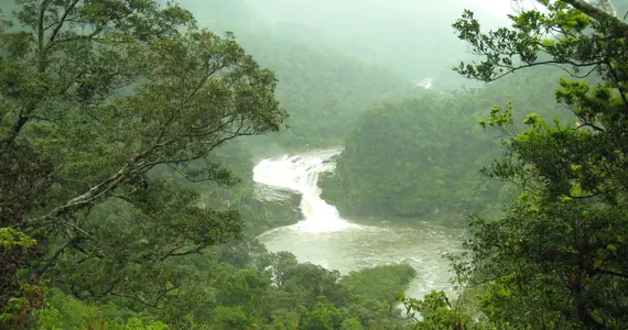 Las cascadas Kampire del río Urauchi en la isla Iriomote.