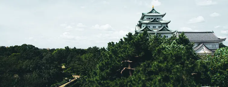 Castle on top of a hill surrounded by trees.