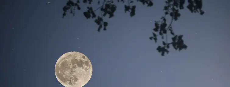 O-Tsukimi, la fête de la lune au Japon